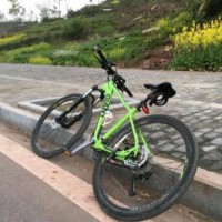 捷安特自行车95新，送打气筒，测速表等配件